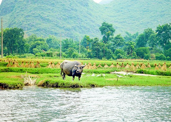 Charming Scenery around Fishing Village