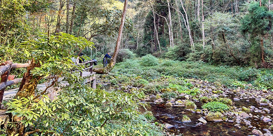 People Hiking in Golden Whip Stream with Comfortable Temperature