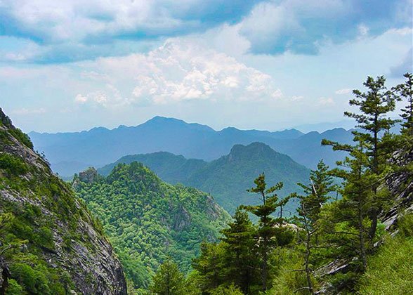 Zhuque National Forest Park