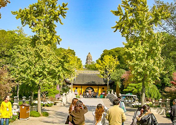 Tiger Hill