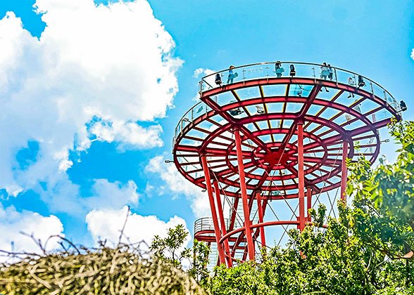 1520 Eye of Sky Platform 1520 Eye of Sky Platform