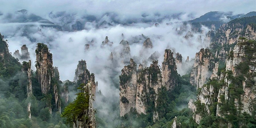 Beautiful Sea of Clouds in Zhangjiajie 