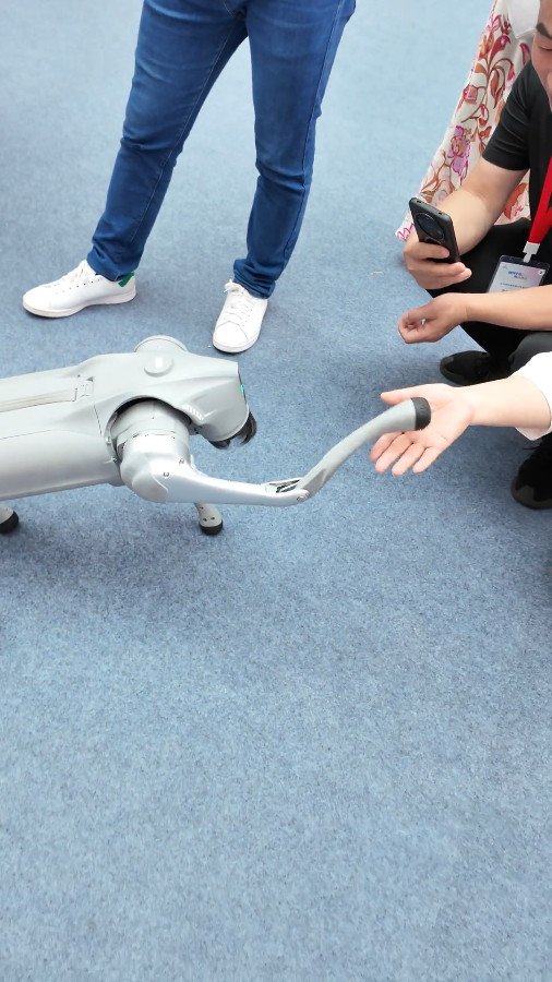 Dog Robot, Guangzhou