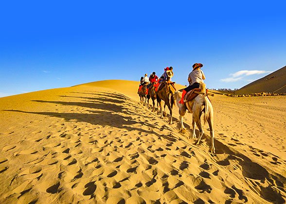 Camel Riding in Sahara Desert Camel Riding in Sahara Desert
