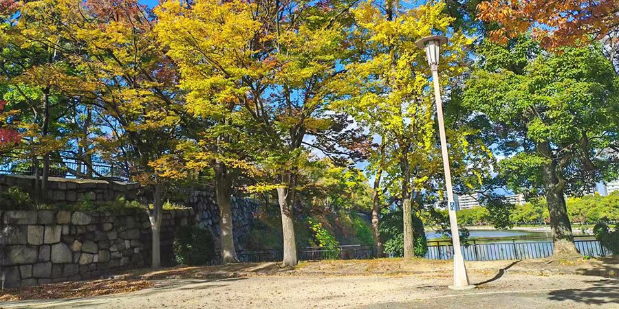 Colorful Autumn in Inner Mongolia