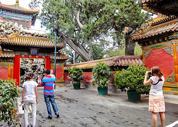 Imperial Garden of the Forbidden City