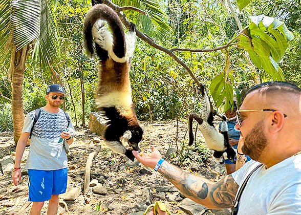 Enjoy Close Contact with the Lemurs Enjoy Close Contact with the Lemurs