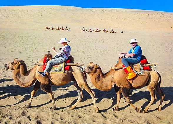 A Camel Ride in Sahara Desert A Camel Ride in Sahara Desert