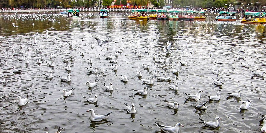 Green Lake Park, Kunming