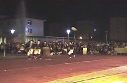Miao Performance: Bird Fighting