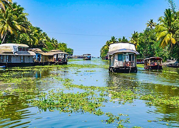 Mangrove River Cruise Mangrove River Cruise