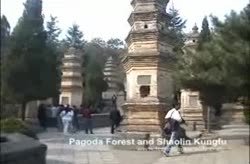 The Pagoda Forest and Shaolin Kung Fu