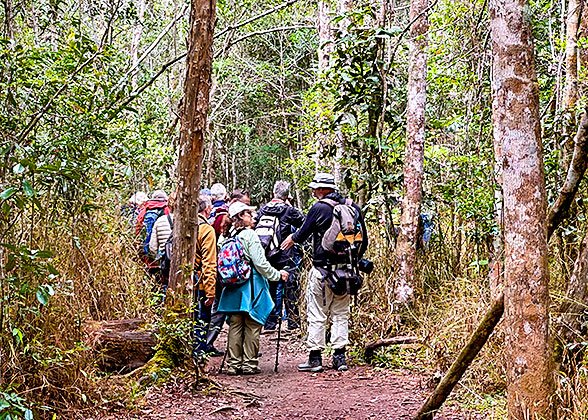Analamazaotra National Park Analamazaotra National Park