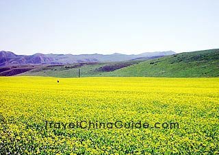 Sangke Prairie, Xiahe