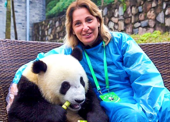 Giant Pandas, Chengdu