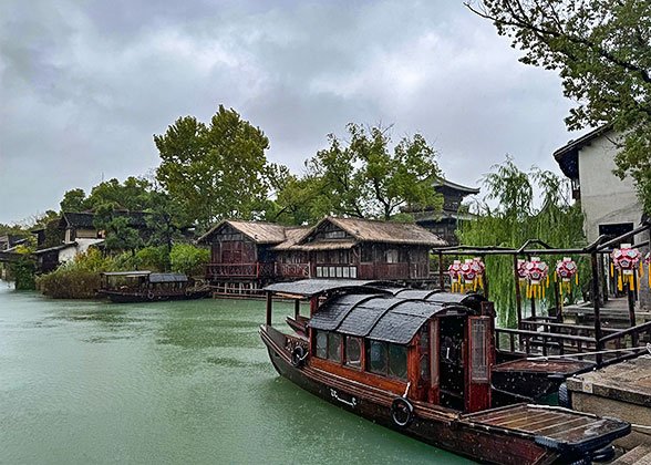 Rainy View