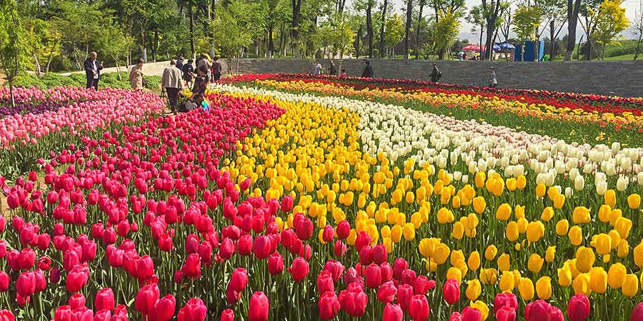 Xi’an Botanical Garden