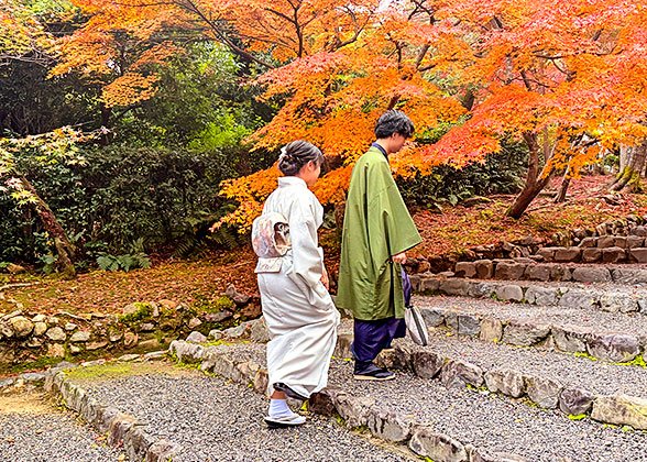 Japan in Autnmn Japan in Autnmn