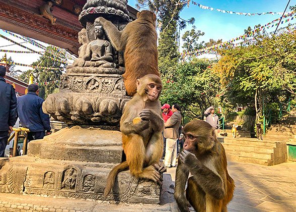 Swayambhunath Stupa, Kathmandu