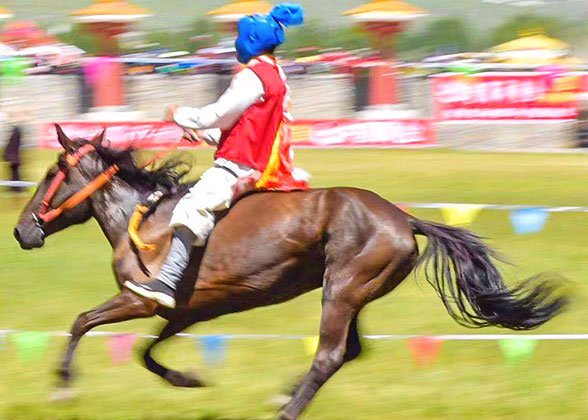 Horse Riding in Inner Mongolia