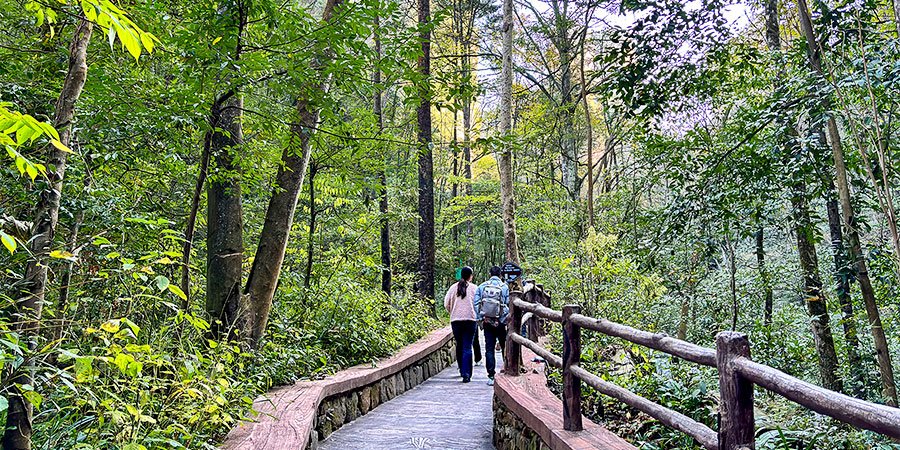 People Hiking in Golden Whip Stream in Spring