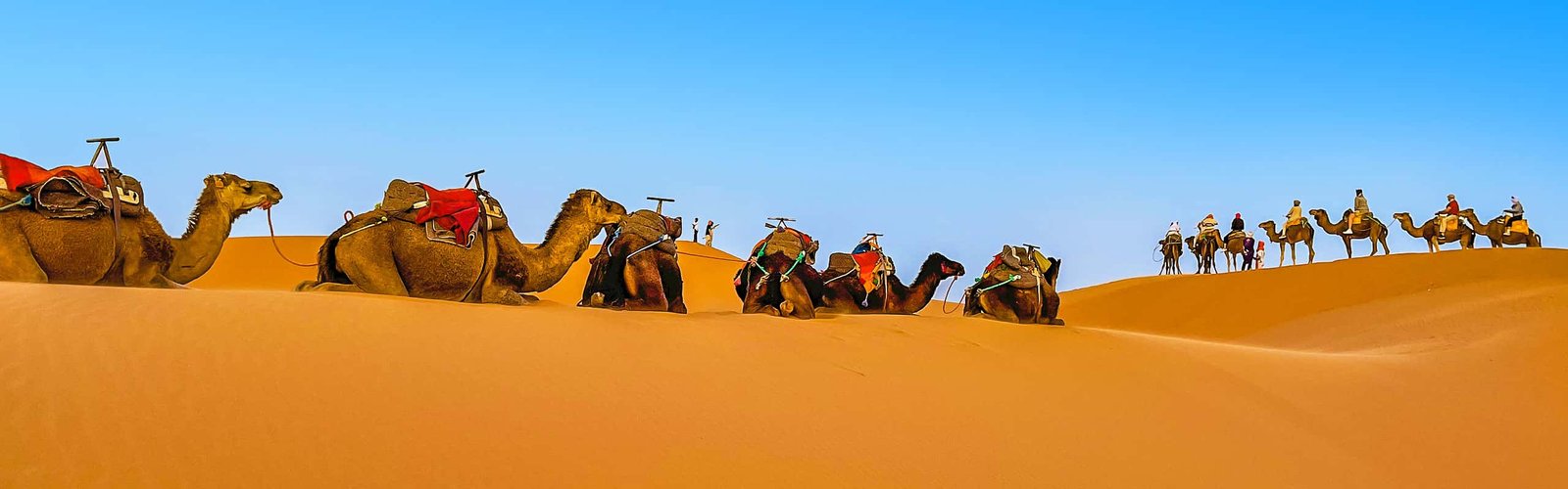 Sahara Desert in Morocco