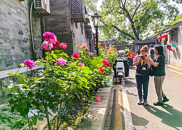 Hutongs in Hot and Sunny June