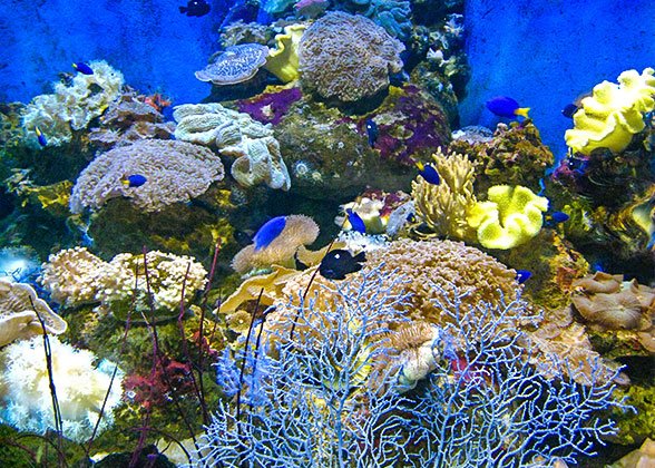 Qujiang Ocean Park