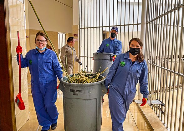 Clean the Panda House Clean the Panda House