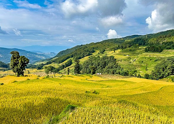 Yuanyang Rice Terraces, Honghe, Yunnan