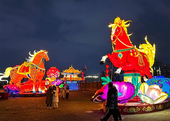 Admire Lanterns at Night