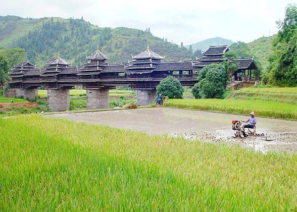 Chengyang Wind and Rain Bridge, Sanjiang