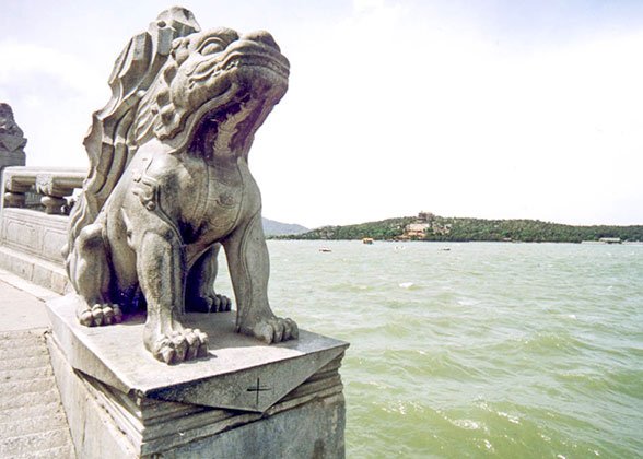 Watchful Roarers