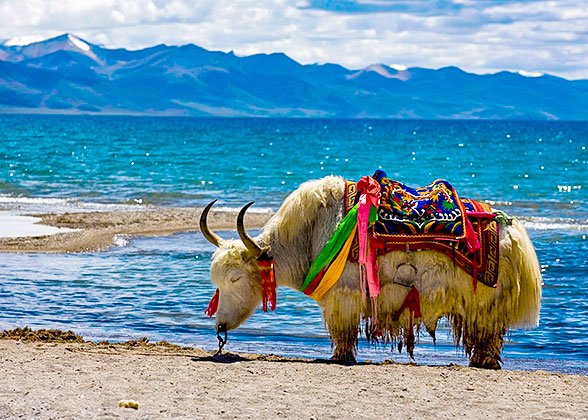 Namtso Lake Namtso Lake