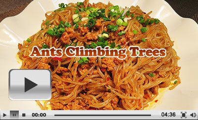 Ants Climbing Trees, Chinese Dish