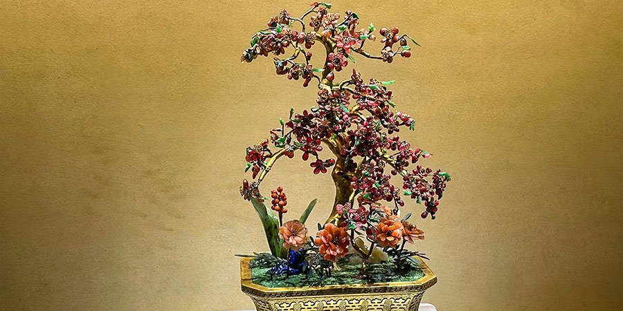 Ruby Plum Tree Bonsai