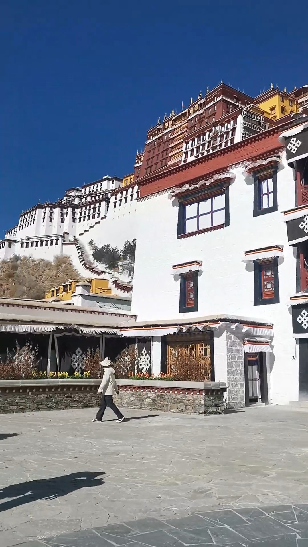 A Close View of the Potala Palace