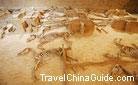 Burial Pit of Horses and Chariots in the Eastern Zhou Dynasty