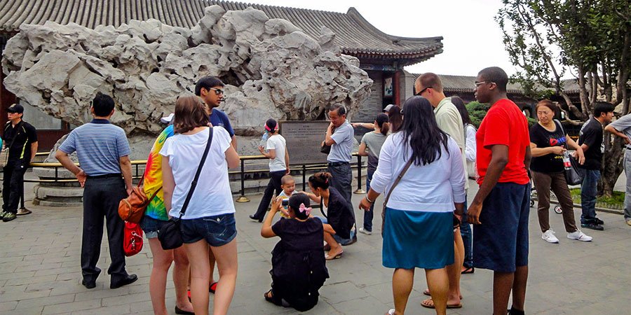 Viewing the Green Ganoderma Rock