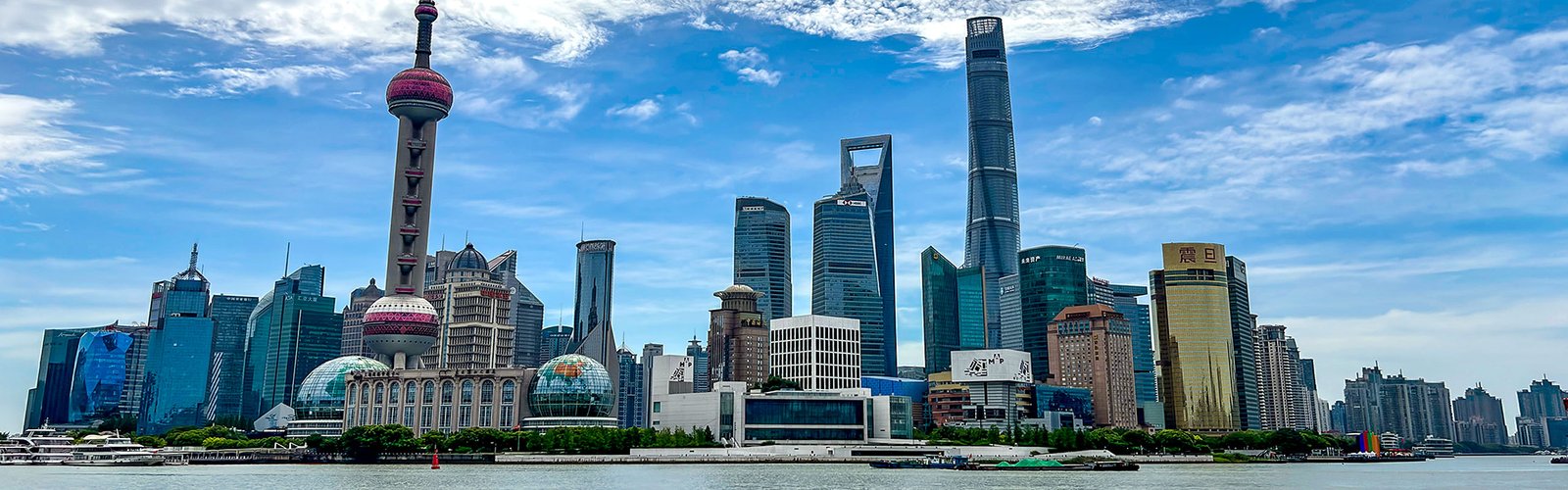 Shanghai Pudong Skyline Shanghai Pudong Skyline