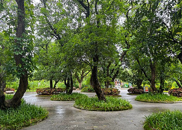Sudden Rainfall in April Sudden Rainfall in April