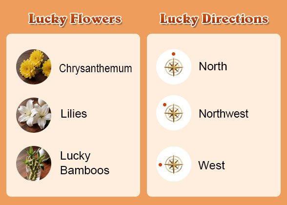 Lucky Flowers and Directions of Monkey