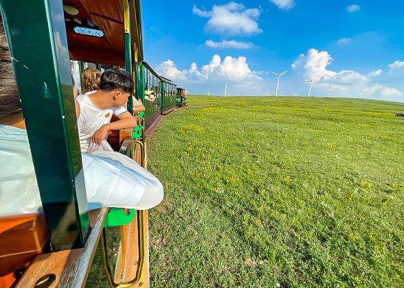 Attractive Grassland in Hohhot