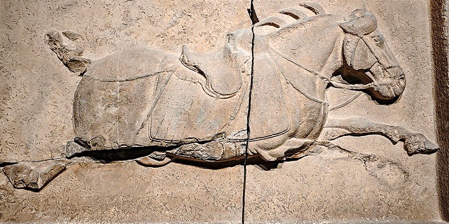 Six Steeds of Zhaoling Mausoleum, Stele Forest Museum