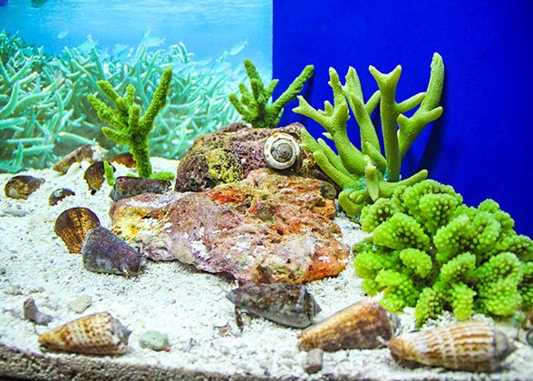 Shanghai Ocean Aquarium