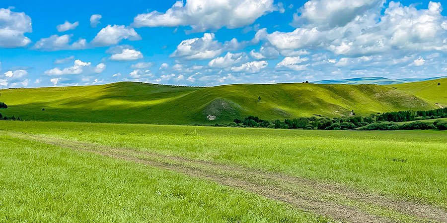 Vast and Green Grassland in Hohhot