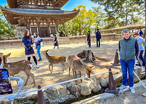 Nara Park