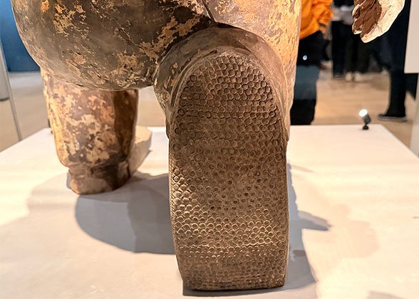 Refined Soles of Their Shoes