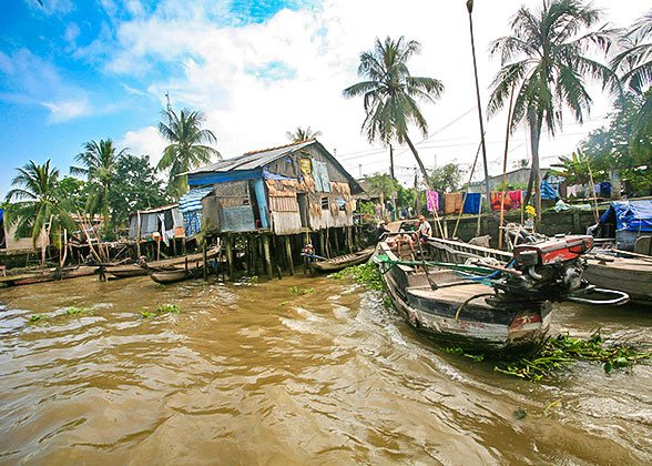 Local House in Mekong Delta