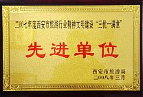 Advanced Company